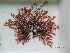  ( - KAM0042)  @11 [ ] Unspecified (default): All Rights Reserved  Unspecified Unspecified