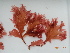  ( - KAM0087)  @11 [ ] Unspecified (default): All Rights Reserved  Unspecified Unspecified