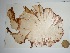  ( - POR01)  @11 [ ] Unspecified (default): All Rights Reserved  Unspecified Unspecified