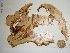  ( - POR06)  @11 [ ] Unspecified (default): All Rights Reserved  Unspecified Unspecified