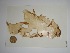  ( - POR12)  @11 [ ] Unspecified (default): All Rights Reserved  Unspecified Unspecified