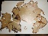  ( - POR13)  @11 [ ] Unspecified (default): All Rights Reserved  Unspecified Unspecified