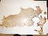  ( - POR15)  @11 [ ] Unspecified (default): All Rights Reserved  Unspecified Unspecified