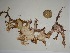 ( - POR18)  @11 [ ] Unspecified (default): All Rights Reserved  Unspecified Unspecified