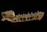  ( - ZMMU S-175153)  @12 [ ] Copyright (2008) Zoological Museum of Moscow University Zoological Museum of Moscow University
