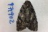  ( - 24106-030719-NC)  @12 [ ] Copyright (2019) Larry Gall Yale University