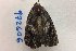  ( - 24107-030719-NC)  @12 [ ] Copyright (2019) Larry Gall Yale University