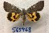  ( - 24117-180719-JA)  @11 [ ] Copyright (2019) Larry Gall Yale University