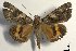  ( - 24122-300618-RU)  @11 [ ] Copyright (2019) Sergey Didenko none