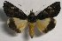  ( - 24126-280219-SA)  @11 [ ] Copyright (2019) Sergey Didenko none