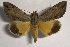  ( - 24129-250411-SA)  @11 [ ] Copyright (2019) Sergey Didenko none