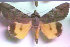  ( - 24130-250411-SA)  @11 [ ] Copyright (2019) Sergey Didenko none