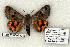  ( - 1004-290603-UT)  @14 [ ] Copyright (2008) Unspecified Research Collection of Robert J. Borth