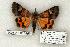 ( - 1005-290603-UT)  @13 [ ] Copyright (2008) Unspecified Research Collection of Robert J. Borth