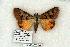  ( - 1021-220705-CA)  @13 [ ] Copyright (2008) Unspecified Research Collection of Robert J. Borth