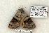  ( - 1023-260705-CA)  @13 [ ] Copyright (2008) Unspecified Research Collection of Robert J. Borth