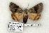 ( - 1024-260705-CA)  @14 [ ] Copyright (2008) Unspecified Research Collection of Robert J. Borth