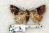  ( - 1025-010703-UT)  @13 [ ] Copyright (2008) Unspecified Research Collection of Robert J. Borth