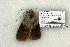  ( - 1026-010703-UT)  @13 [ ] Copyright (2008) Unspecified Research Collection of Robert J. Borth