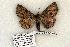  ( - 1029-220705-CA)  @13 [ ] Copyright (2008) Unspecified Research Collection of Robert J. Borth