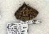  ( - 1030-220705-CA)  @12 [ ] Copyright (2008) Unspecified Research Collection of Robert J. Borth