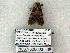  ( - 1037-300603-UT)  @12 [ ] Copyright (2008) Unspecified Research Collection of Robert J. Borth