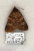  ( - 1040-230603-AZ)  @14 [ ] Copyright (2008) Unspecified Research Collection of Robert J. Borth