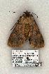  ( - 1041-150603-AZ)  @14 [ ] Copyright (2008) Unspecified Research Collection of Robert J. Borth