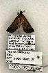  ( - 1087-200506-FL)  @12 [ ] Copyright (2008) Unspecified Research Collection of Robert J. Borth