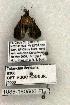  ( - 1088-180506-FL)  @12 [ ] Copyright (2008) Unspecified Research Collection of Robert J. Borth