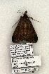  ( - 1093-190505-FL)  @13 [ ] Copyright (2008) Unspecified Research Collection of Robert J. Borth