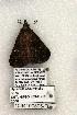  ( - 1094-190505-FL)  @12 [ ] Copyright (2008) Unspecified Research Collection of Robert J. Borth