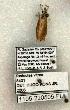  ( - 1105-220505-FL)  @12 [ ] Copyright (2008) Unspecified Research Collection of Robert J. Borth
