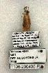  ( - 1106-290405-FL)  @12 [ ] Copyright (2008) Unspecified Research Collection of Robert J. Borth