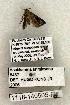  ( - 1118-140505-FL)  @12 [ ] Copyright (2008) Unspecified Research Collection of Robert J. Borth