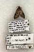  ( - 1119-140505-FL)  @12 [ ] Copyright (2008) Unspecified Research Collection of Robert J. Borth