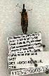  ( - 1123-270503-TX)  @12 [ ] Copyright (2008) Unspecified Research Collection of Robert J. Borth