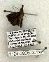  ( - 1124-280503-TX)  @12 [ ] Copyright (2008) Unspecified Research Collection of Robert J. Borth