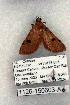  ( - 1126-150603-AZ)  @12 [ ] Copyright (2008) Unspecified Research Collection of Robert J. Borth