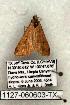  ( - 1127-060603-TX)  @13 [ ] Copyright (2008) Unspecified Research Collection of Robert J. Borth