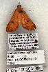  ( - 1128-100603-TX)  @12 [ ] Copyright (2008) Unspecified Research Collection of Robert J. Borth