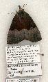  ( - 1130-120702-KY)  @12 [ ] Copyright (2008) Unspecified Research Collection of Robert J. Borth
