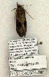  ( - 1131-040604-TX)  @12 [ ] Copyright (2008) Unspecified Research Collection of Robert J. Borth