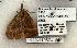  ( - 1139-110694-WI)  @13 [ ] Copyright (2008) Unspecified Research Collection of Robert J. Borth