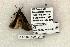  ( - 1145-020995-WI)  @13 [ ] Copyright (2008) Unspecified Research Collection of Robert J. Borth