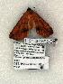  ( - 1151-060602-OK)  @13 [ ] Copyright (2008) Unspecified Research Collection of Robert J. Borth