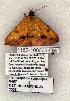  ( - 1152-100602-OK)  @13 [ ] Copyright (2008) Unspecified Research Collection of Robert J. Borth