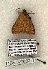  ( - 1185-020603-TX)  @13 [ ] Copyright (2008) Unspecified Research Collection of Robert J. Borth