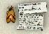 ( - 1191-150702-MS)  @12 [ ] Copyright (2008) Unspecified Research Collection of Robert J. Borth