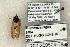  ( - 1200-260504-TX)  @12 [ ] Copyright (2008) Unspecified Research Collection of Robert J. Borth